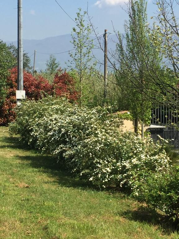 Lago Gabbiano Podere Casanova Пистоя Екстериор снимка