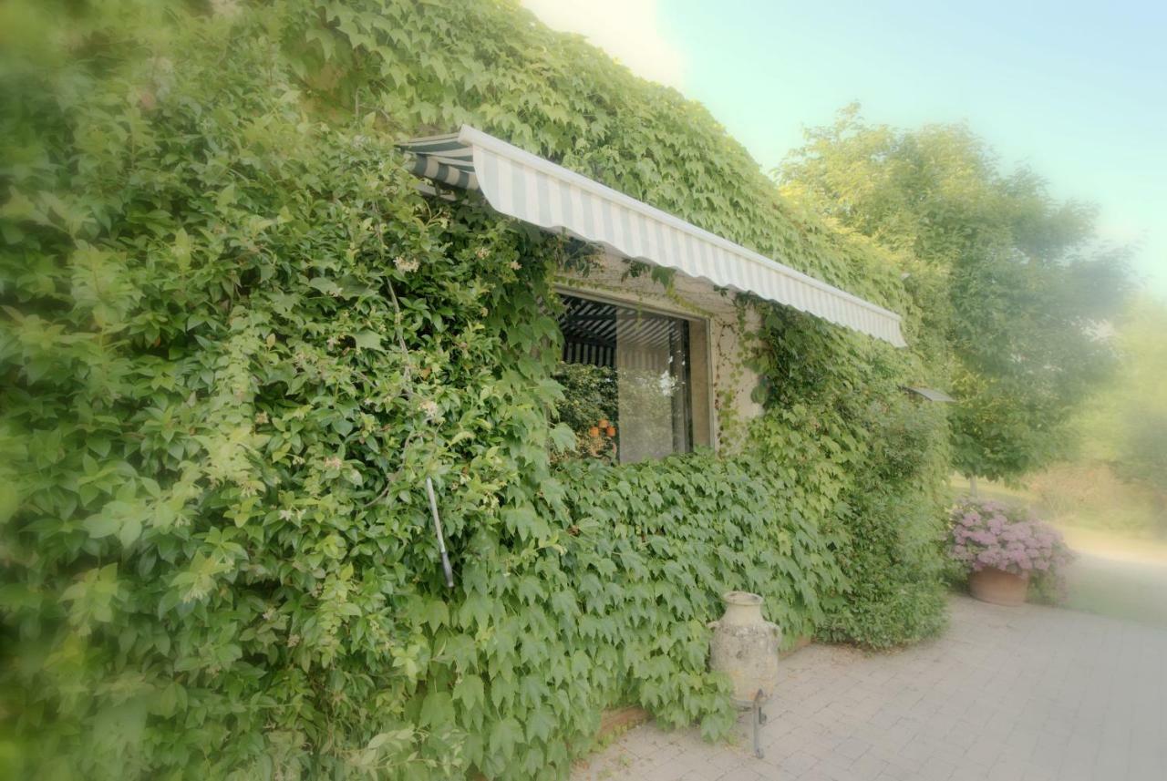 Lago Gabbiano Podere Casanova Пистоя Екстериор снимка